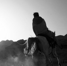 纯净无捆绑的免费ddos在线攻击